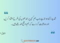 ashfaq ahmed quotes