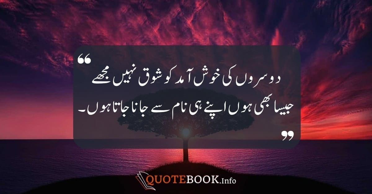 Deep Sad Quotes in Urdu 11