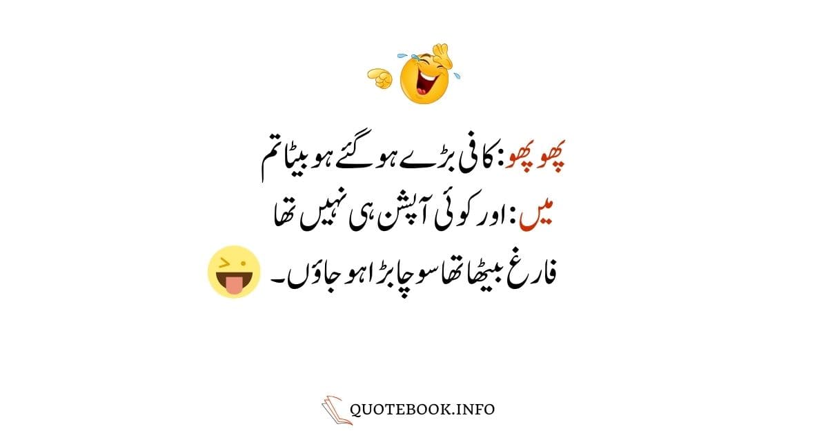 Funny Jokes in Urdu by Quotebook 10