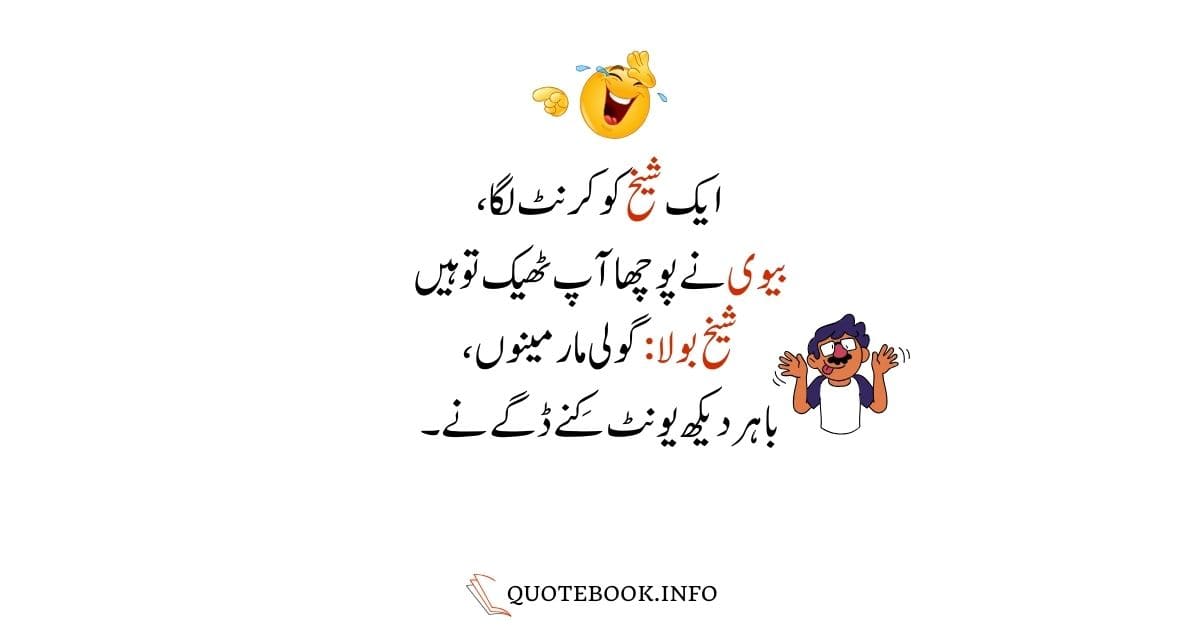 Funny Jokes in Urdu by Quotebook 13