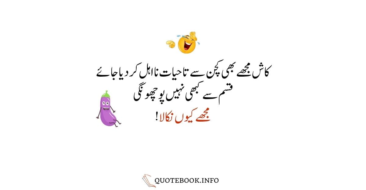 Funny Jokes in Urdu by Quotebook 09