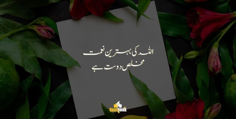 Short friendship quotes in urdu