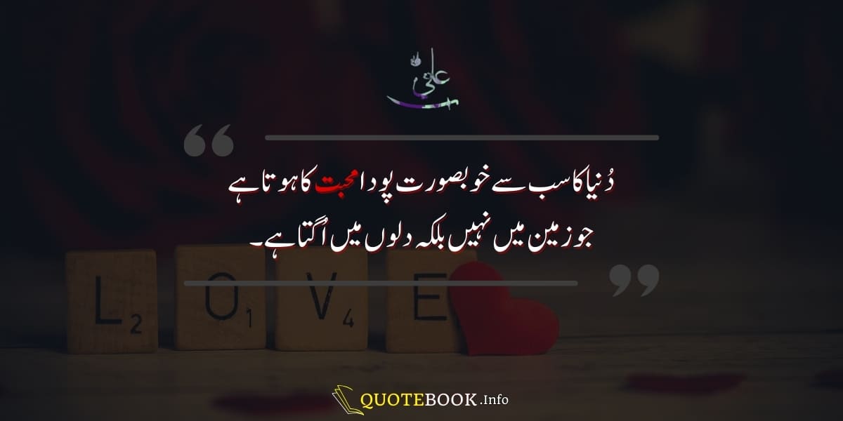 Hazrat Ali quotes about love