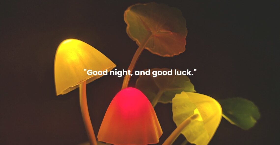 good night quotes